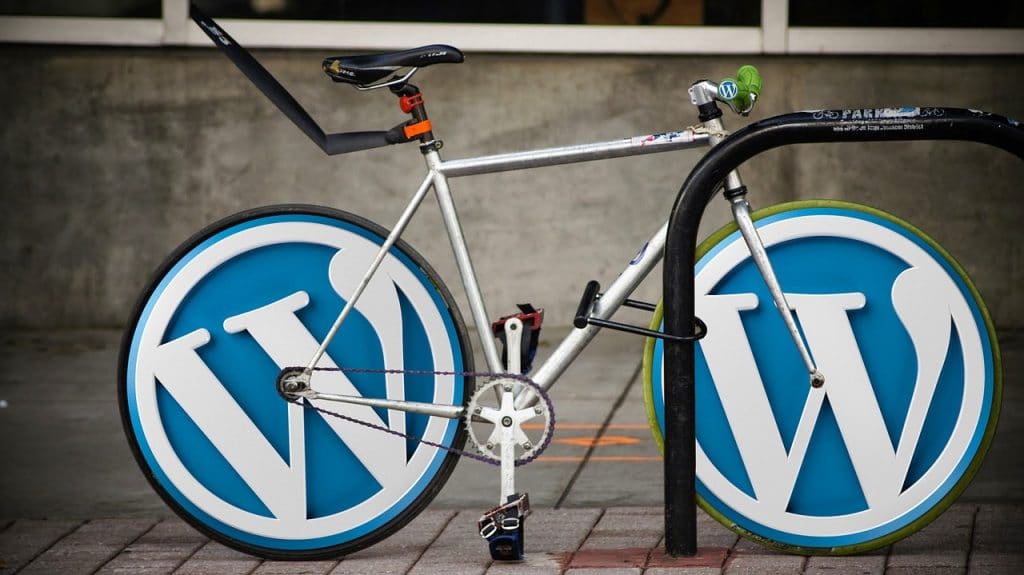 Wordpress SEO: a dummy guide 1 wordpress seo search engine optimization sisu digital 2